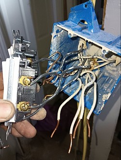 new switches